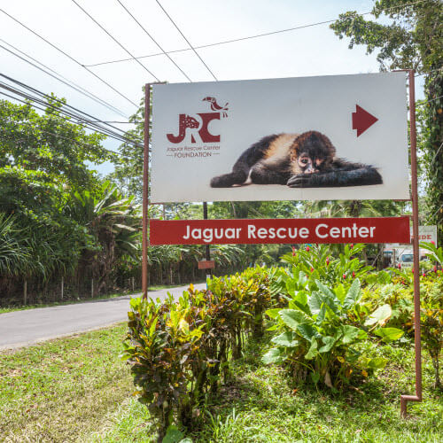 Activities in Puerto Viejo